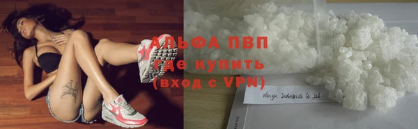 стаф Пестово