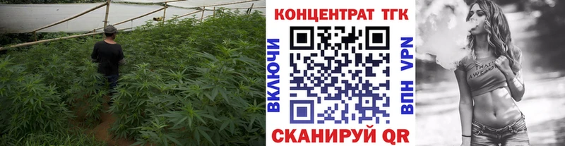 продажа наркотиков  Горняк  ТГК THC oil 